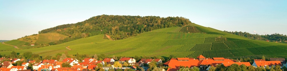 Schwäbischer Albverein | Ortsgruppe Fellbach